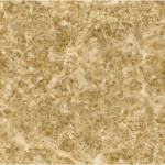 Слика на Pg Liberty MP654 60x60