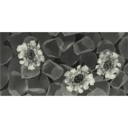 Decor Bloom 30x60 – cvetni dekor za zid Cvetna zidna pločica za kupatilo