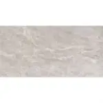 PG Salome Grey 60x120 pločice siva glossy
