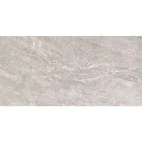 PG Salome Grey 60x120 pločice siva glossy