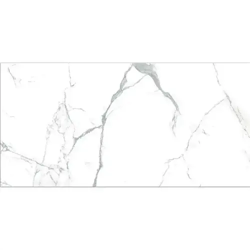 Neo Calacatta Silver 60x120 bela pločica