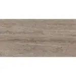 PG Delmon Brown podne pločice 60x120