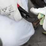 ravna klešta za keramičke pločice