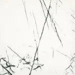 Agatha White Mat 60×60 pločica