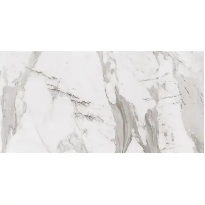 Spider White KK 25x50 Spider White KK 25x50