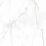 PG Calacatta Gold 100x100 bela pločica