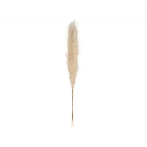 Dekorativni cvet Atmosfera slonova kost