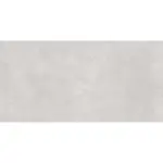 Rossetti Light Grey 60x120 pločica