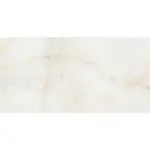 Amonito Grey 60x120 keramička pločica