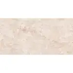 PG Rizzont Beige pločica 80x160