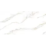 Calacata Gold 60x120