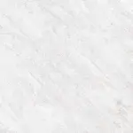 Forum Light Gray 60x60