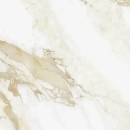 Renoir Brown 60x60 Renoir Brown 60x60