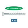 Slika 50 X VIJAK ZA BETON-6KT.-(W-BS/S)-(A2K)-SW13-55-75-8X120     