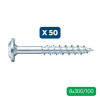 Slika 50 X LESNI VIJAK ASSY4, KROŽNA GLAVA, RW40, 8X300/100