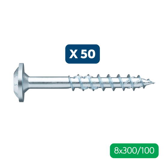Slika 50 X LESNI VIJAK ASSY4, KROŽNA GLAVA, RW40, 8X300/100