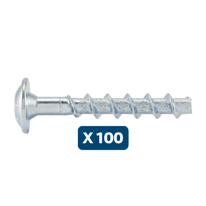 Slika 100 X VIJAKI Z LEČASTO GLAVO ZA SIDRANJE V BETON (W-BS/LP/P), A2K, TX30