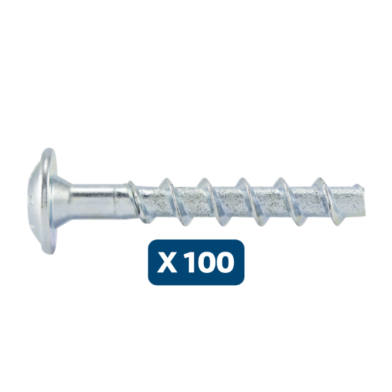 Slika 100 X VIJAKI Z LEČASTO GLAVO ZA SIDRANJE V BETON (W-BS/LP/P), A2K, TX30